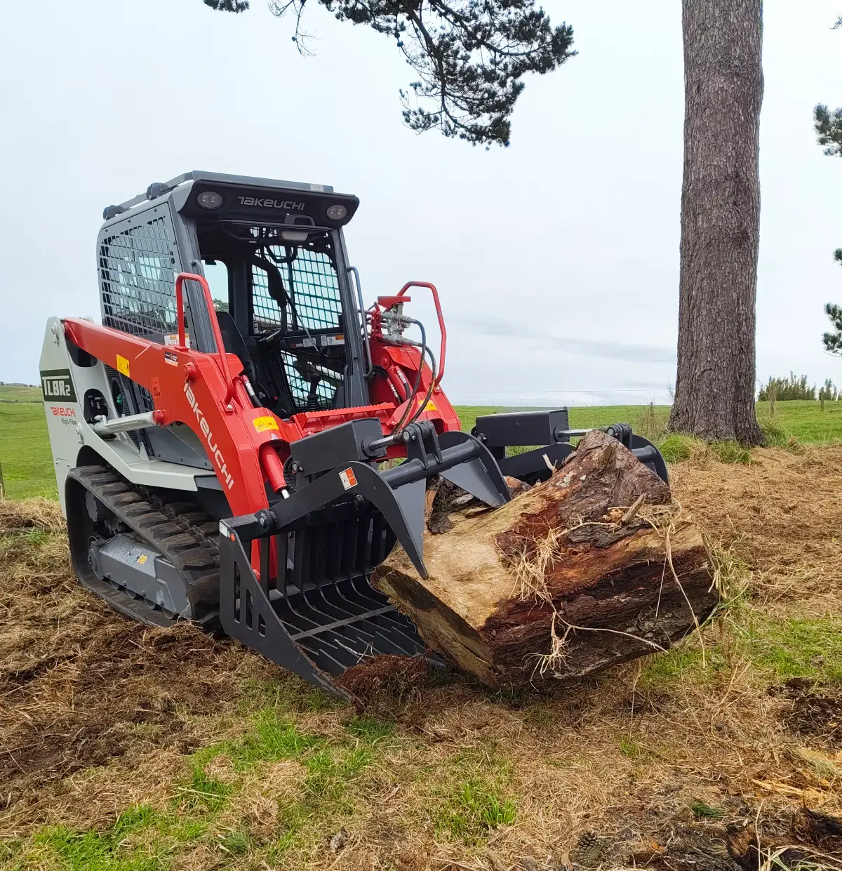 skid steer3